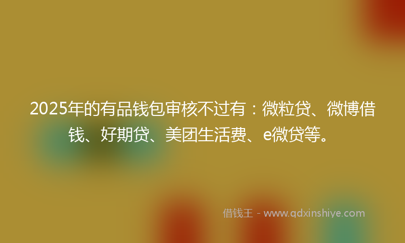 2025年的有品钱包审核不过有：微粒贷、微博借钱、好期贷、美团生活费、e微贷等。
