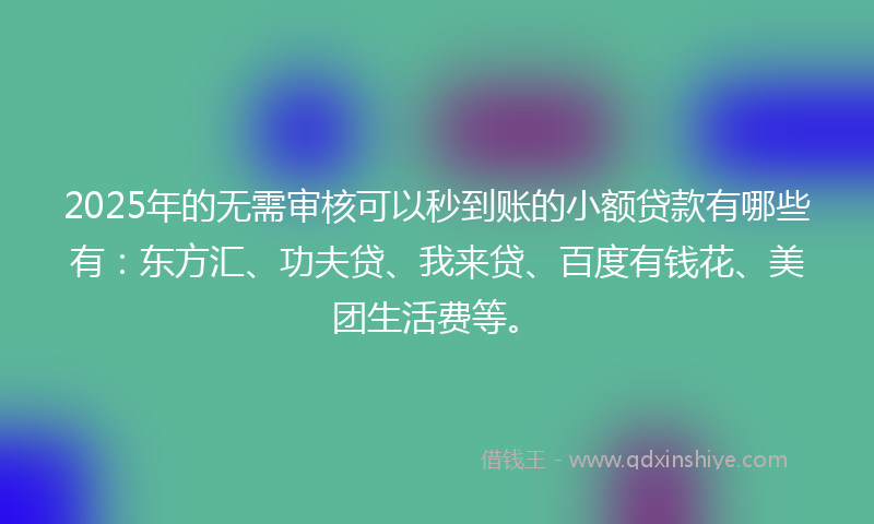 2025年的无需审核可以秒到账的小额贷款有哪些有：东方汇、功夫贷、我来贷、百度有钱花、美团生活费等。
