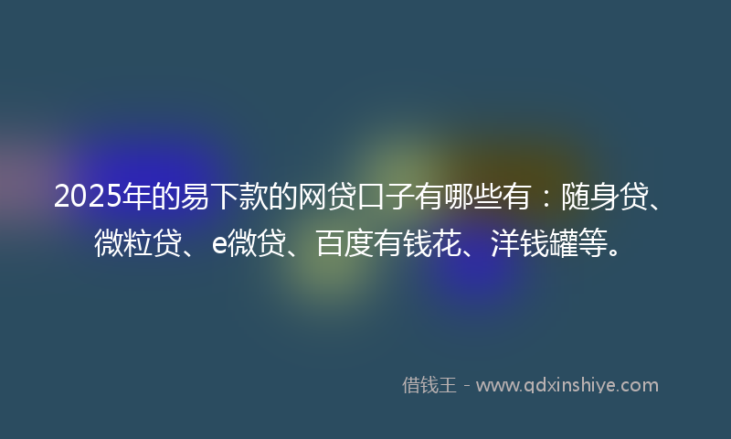 2025年的易下款的网贷口子有哪些有：随身贷、微粒贷、e微贷、百度有钱花、洋钱罐等。