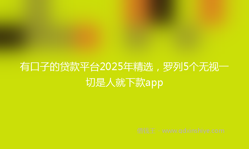 有口子的贷款平台2025年精选，罗列5个无视一切是人就下款app