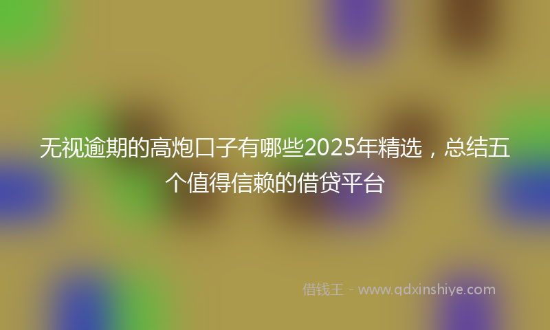 无视逾期的高炮口子有哪些2025年精选，总结五个值得信赖的借贷平台