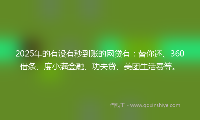 2025年的有没有秒到账的网贷有：替你还、360借条、度小满金融、功夫贷、美团生活费等。