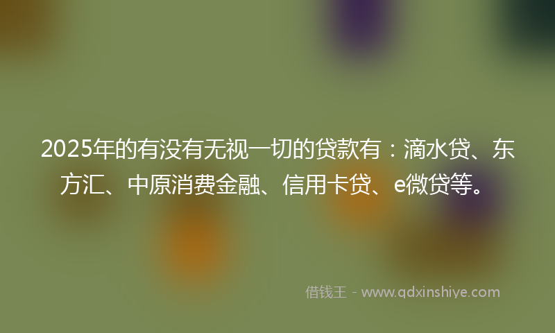 2025年的有没有无视一切的贷款有：滴水贷、东方汇、中原消费金融、信用卡贷、e微贷等。