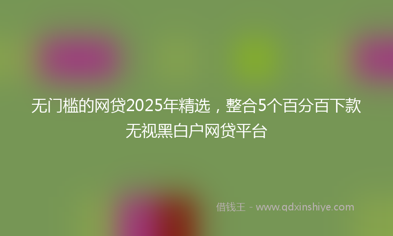 无门槛的网贷2025年精选，整合5个百分百下款无视黑白户网贷平台