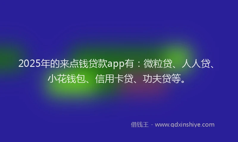 2025年的来点钱贷款app有：微粒贷、人人贷、小花钱包、信用卡贷、功夫贷等。