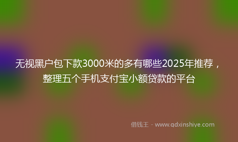 无视黑户包下款3000米的多有哪些2025年推荐，整理五个手机支付宝小额贷款的平台