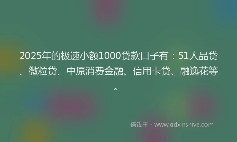 2025年的极速小额1000贷款口子有：51人品贷、微粒贷、中原消费金融、信用卡贷、融逸花等。