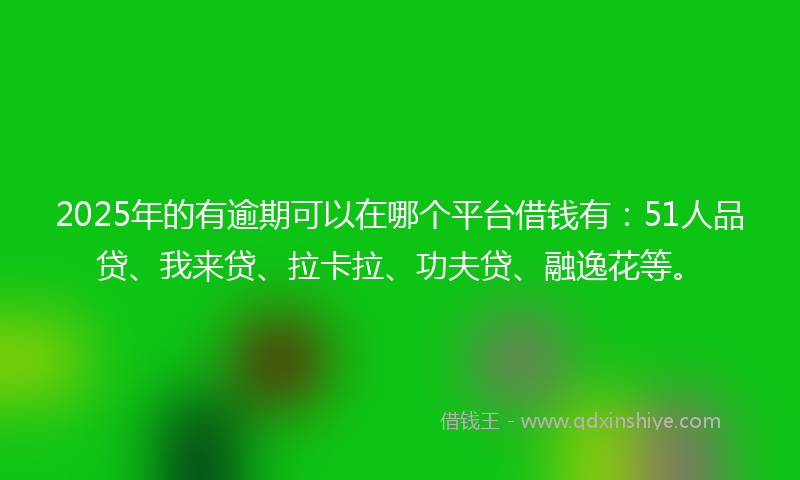 2025年的有逾期可以在哪个平台借钱有：51人品贷、我来贷、拉卡拉、功夫贷、融逸花等。