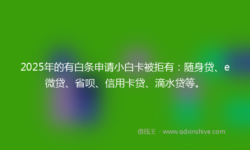 2025年的有白条申请小白卡被拒有：随身贷、e微贷、省呗、信用卡贷、滴水贷等。