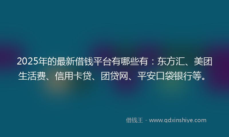 2025年的最新借钱平台有哪些有：东方汇、美团生活费、信用卡贷、团贷网、平安口袋银行等。