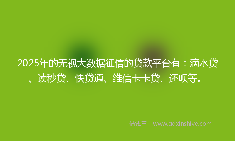 2025年的无视大数据征信的贷款平台有：滴水贷、读秒贷、快贷通、维信卡卡贷、还呗等。