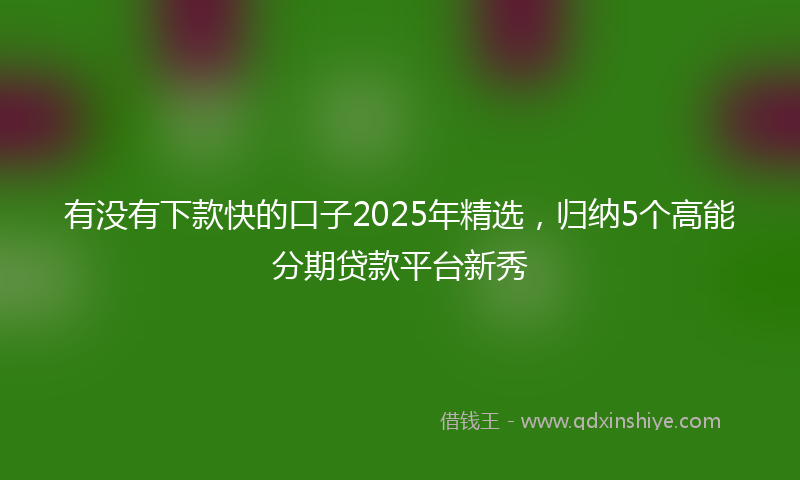 有没有下款快的口子2025年精选，归纳5个高能分期贷款平台新秀