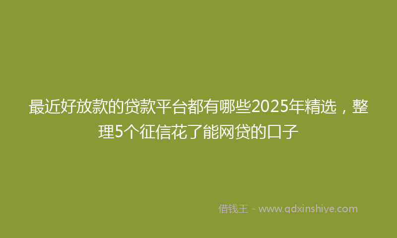 最近好放款的贷款平台都有哪些2025年精选，整理5个征信花了能网贷的口子