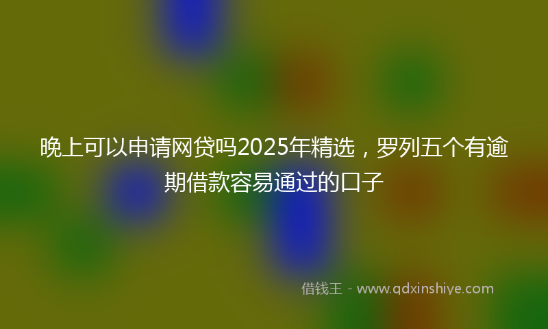 晚上可以申请网贷吗2025年精选，罗列五个有逾期借款容易通过的口子