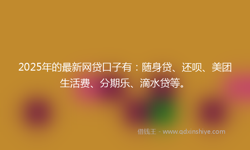2025年的最新网贷口子有：随身贷、还呗、美团生活费、分期乐、滴水贷等。