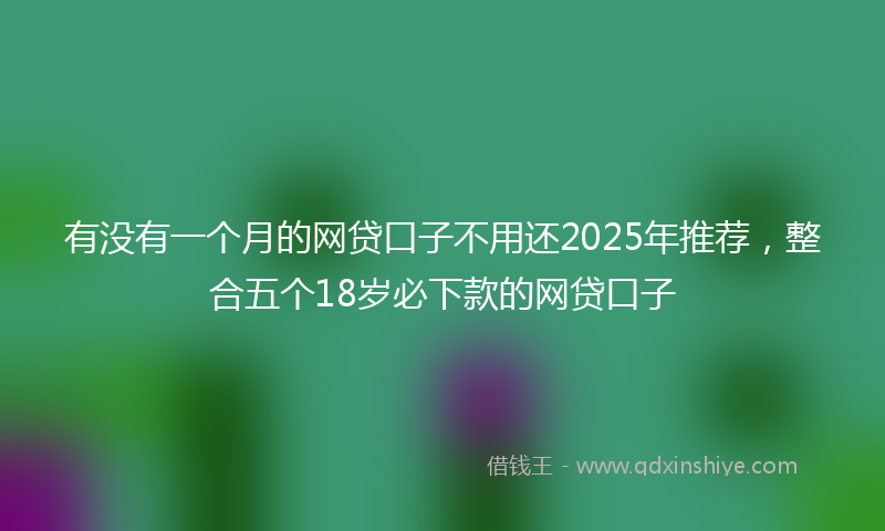 有没有一个月的网贷口子不用还2025年推荐，整合五个18岁必下款的网贷口子