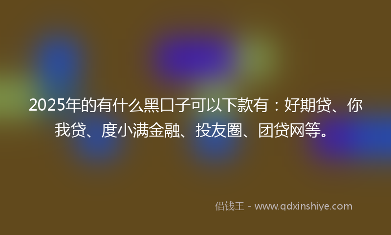 2025年的有什么黑口子可以下款有：好期贷、你我贷、度小满金融、投友圈、团贷网等。