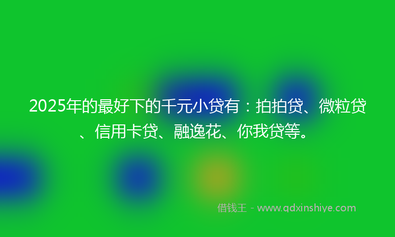 2025年的最好下的千元小贷有：拍拍贷、微粒贷、信用卡贷、融逸花、你我贷等。