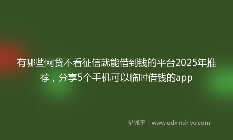 有哪些网贷不看征信就能借到钱的平台2025年推荐，分享5个手机可以临时借钱的app