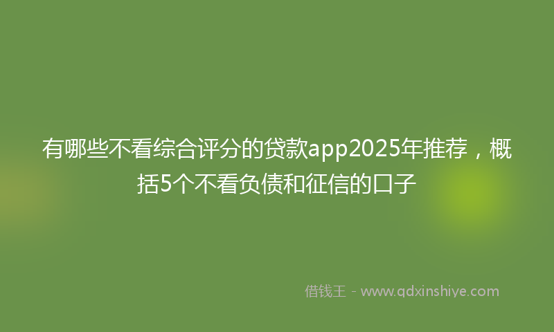 有哪些不看综合评分的贷款app2025年推荐，概括5个不看负债和征信的口子
