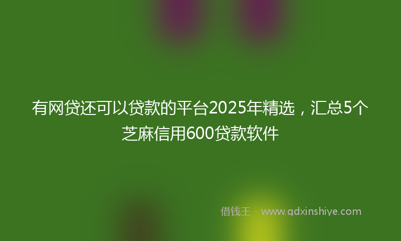 有网贷还可以贷款的平台2025年精选，汇总5个芝麻信用600贷款软件