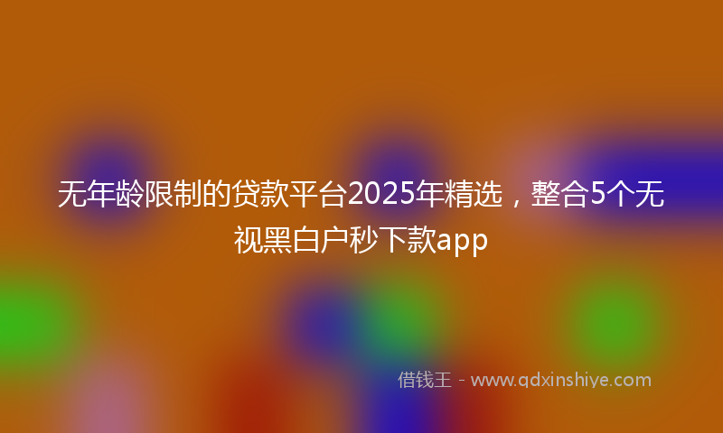 无年龄限制的贷款平台2025年精选，整合5个无视黑白户秒下款app