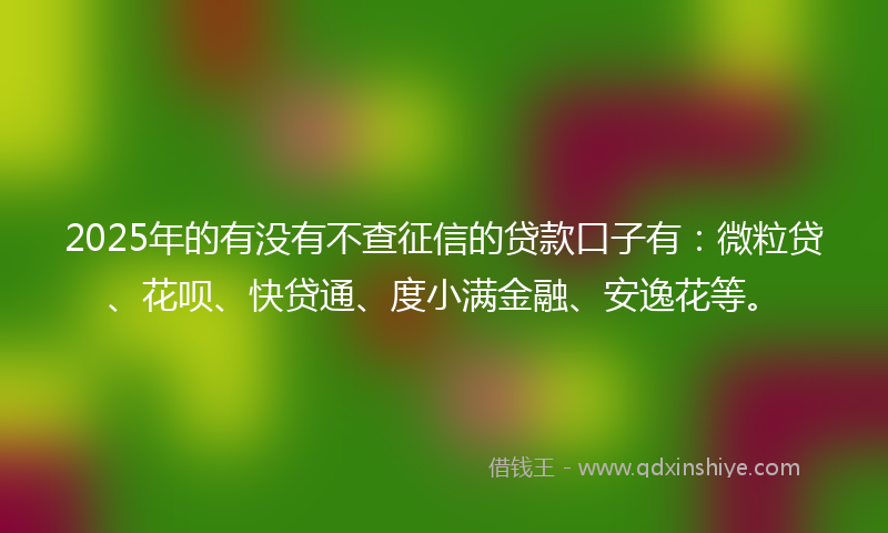 2025年的有没有不查征信的贷款口子有：微粒贷、花呗、快贷通、度小满金融、安逸花等。