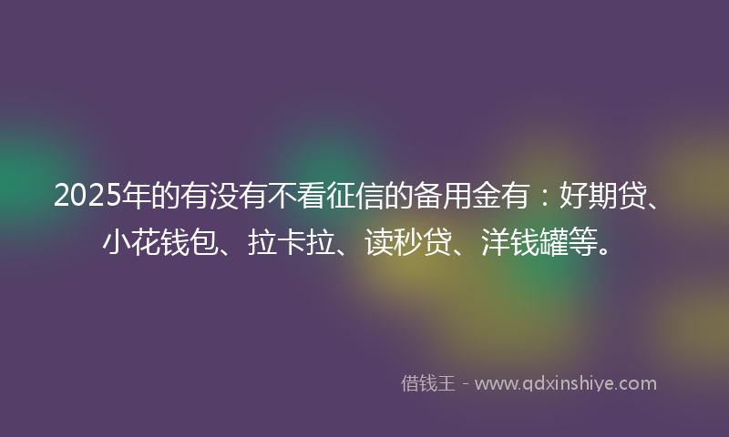 2025年的有没有不看征信的备用金有：好期贷、小花钱包、拉卡拉、读秒贷、洋钱罐等。