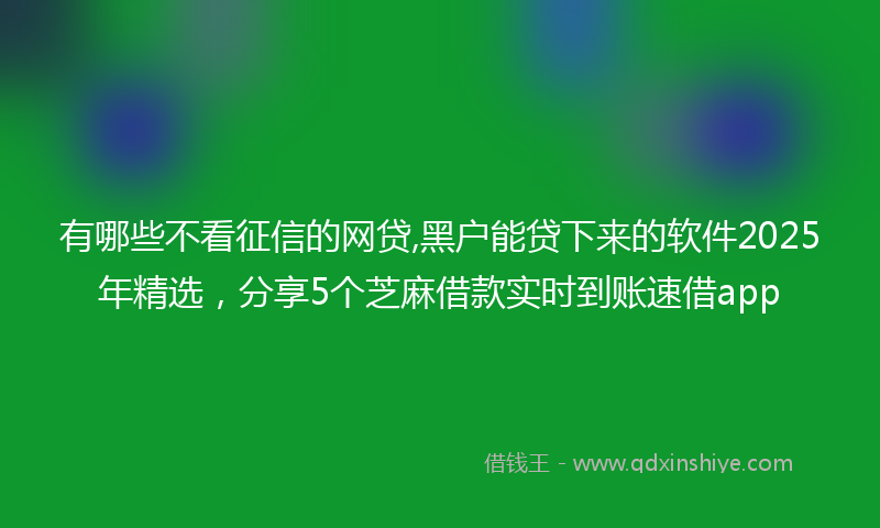 有哪些不看征信的网贷,黑户能贷下来的软件2025年精选，分享5个芝麻借款实时到账速借app