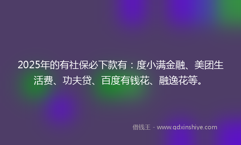 2025年的有社保必下款有：度小满金融、美团生活费、功夫贷、百度有钱花、融逸花等。