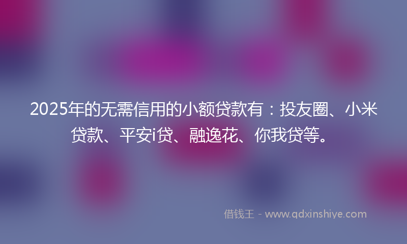 2025年的无需信用的小额贷款有：投友圈、小米贷款、平安i贷、融逸花、你我贷等。