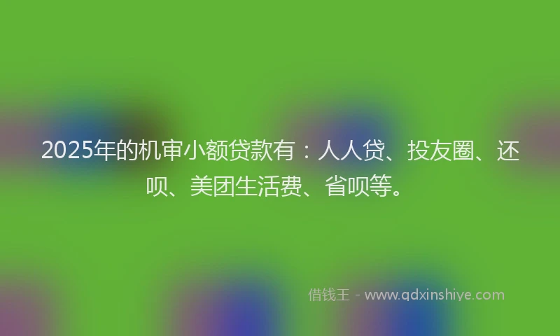 2025年的机审小额贷款有：人人贷、投友圈、还呗、美团生活费、省呗等。