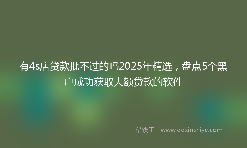 有4s店贷款批不过的吗2025年精选，盘点5个黑户成功获取大额贷款的软件