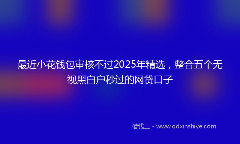 最近小花钱包审核不过2025年精选，整合五个无视黑白户秒过的网贷口子
