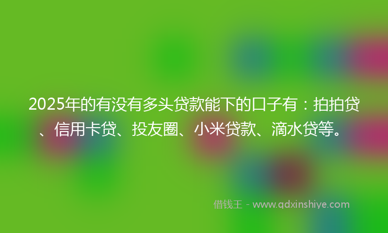 2025年的有没有多头贷款能下的口子有：拍拍贷、信用卡贷、投友圈、小米贷款、滴水贷等。