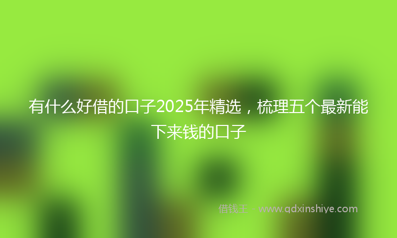 有什么好借的口子2025年精选，梳理五个最新能下来钱的口子