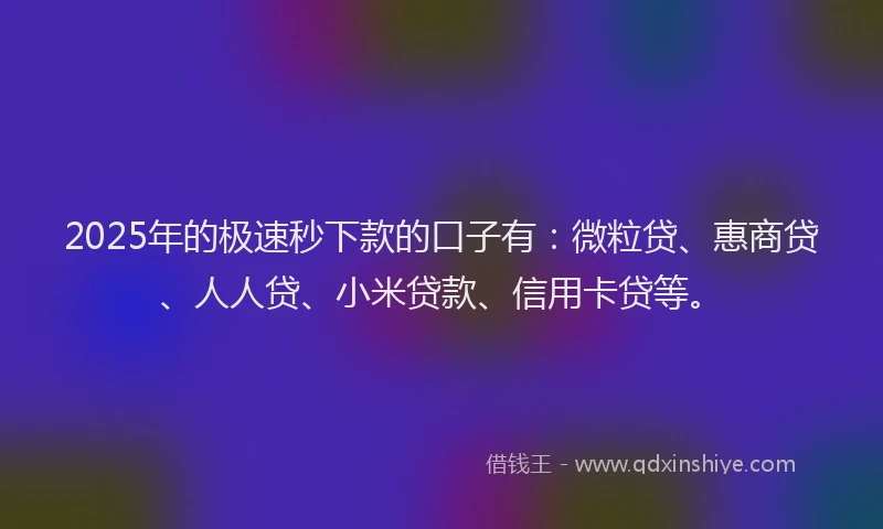 2025年的极速秒下款的口子有：微粒贷、惠商贷、人人贷、小米贷款、信用卡贷等。