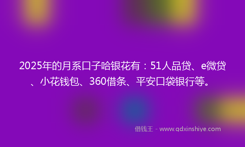 2025年的月系口子哈银花有：51人品贷、e微贷、小花钱包、360借条、平安口袋银行等。