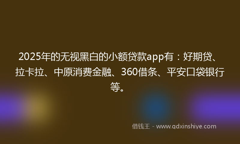 2025年的无视黑白的小额贷款app有：好期贷、拉卡拉、中原消费金融、360借条、平安口袋银行等。