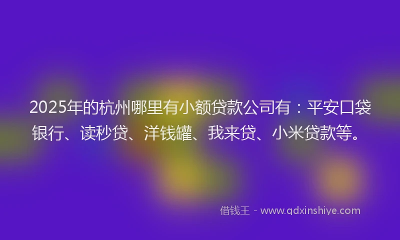 2025年的杭州哪里有小额贷款公司有：平安口袋银行、读秒贷、洋钱罐、我来贷、小米贷款等。
