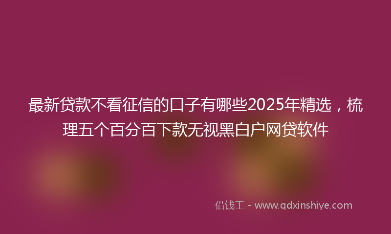 最新贷款不看征信的口子有哪些2025年精选，梳理五个百分百下款无视黑白户网贷软件