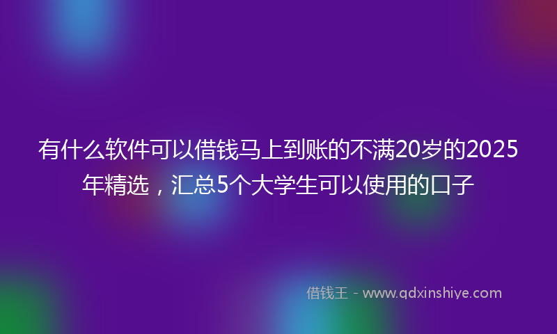 有什么软件可以借钱马上到账的不满20岁的2025年精选，汇总5个大学生可以使用的口子