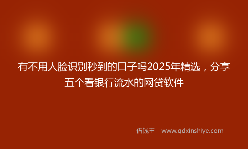 有不用人脸识别秒到的口子吗2025年精选，分享五个看银行流水的网贷软件