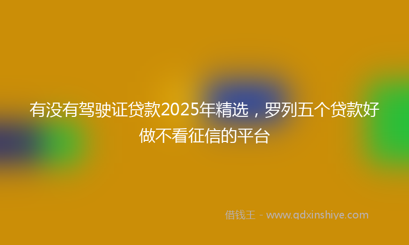 有没有驾驶证贷款2025年精选，罗列五个贷款好做不看征信的平台