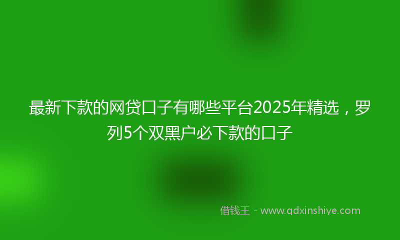 最新下款的网贷口子有哪些平台2025年精选，罗列5个双黑户必下款的口子