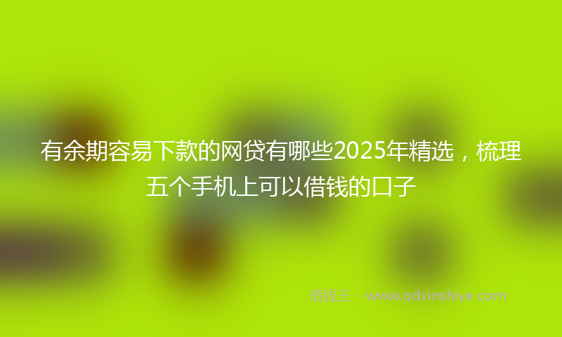 有余期容易下款的网贷有哪些2025年精选，梳理五个手机上可以借钱的口子