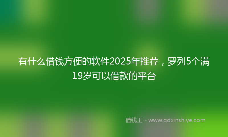 有什么借钱方便的软件2025年推荐，罗列5个满19岁可以借款的平台