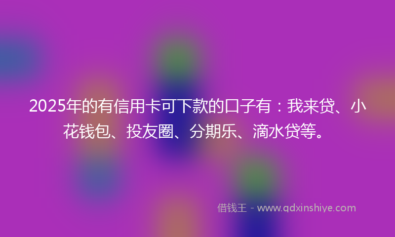 2025年的有信用卡可下款的口子有：我来贷、小花钱包、投友圈、分期乐、滴水贷等。