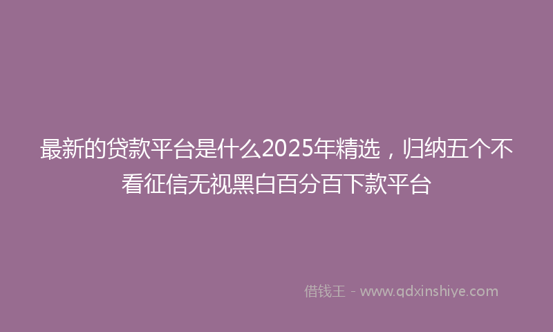 最新的贷款平台是什么2025年精选，归纳五个不看征信无视黑白百分百下款平台