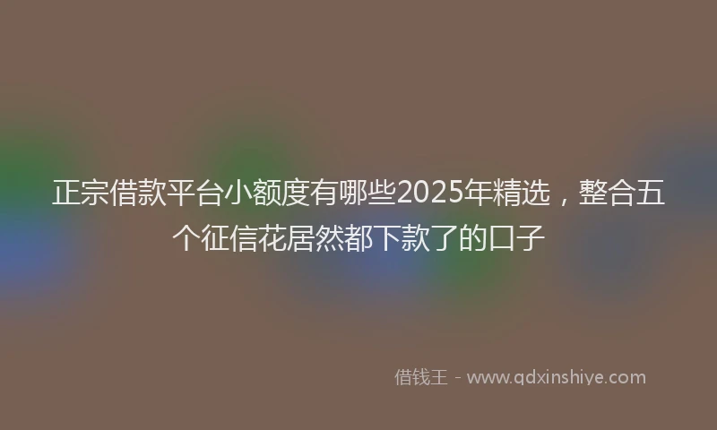 正宗借款平台小额度有哪些2025年精选，整合五个征信花居然都下款了的口子